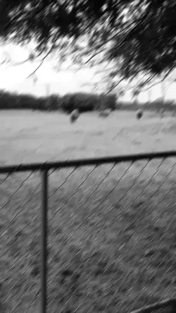 Slowmo blur