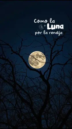 Amor del bueno