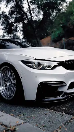Loja de carros