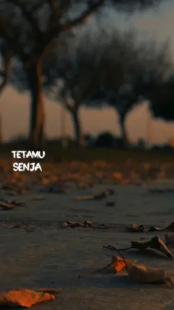 Senja