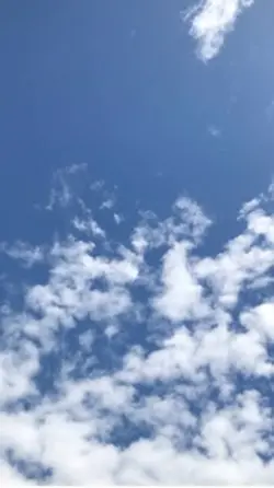 Hasta el cielo🕊