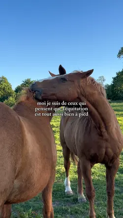 Débat risqué 🤷🏻‍♀️🫶🏻
