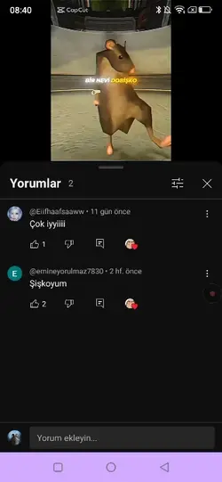 şişkoyum ben şişko