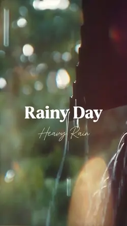 Rainy Day