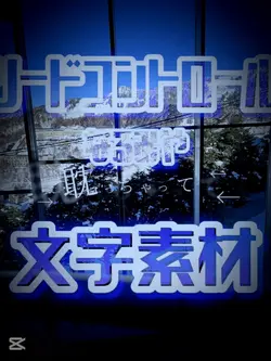リードコントロール 1枚