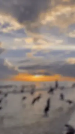 Conquest of paradise
