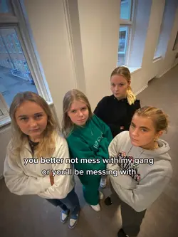 mess with my gang