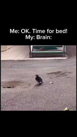 Funny meme template 