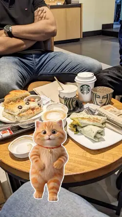 Apt cat dance trend