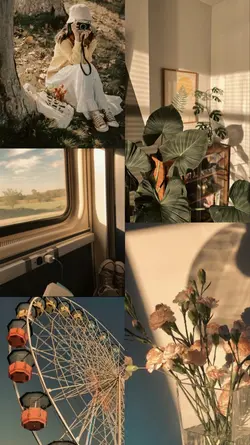 frame estetik