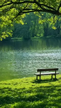 Beautiful Moments