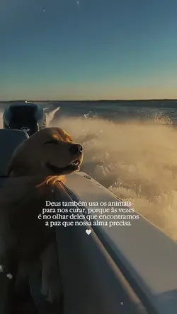 Os Animais