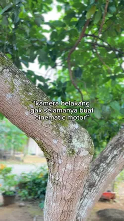kamera belakang 
