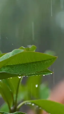 10 video aesthetic