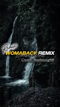 Womaback Remix