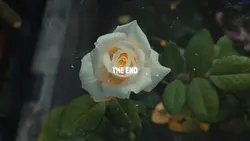 cinematic 3 video