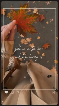 Fall Is In The Air