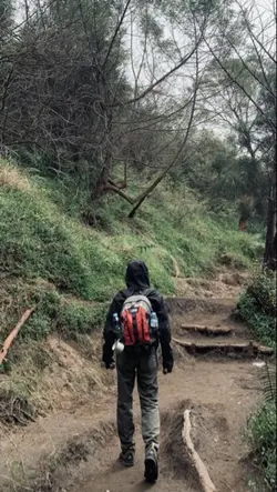 Aesthetic