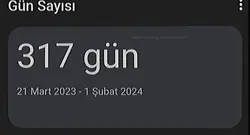 317 gün