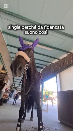 sorry 