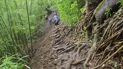 manoa falls hawaii