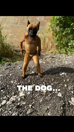 Dog Dancing 