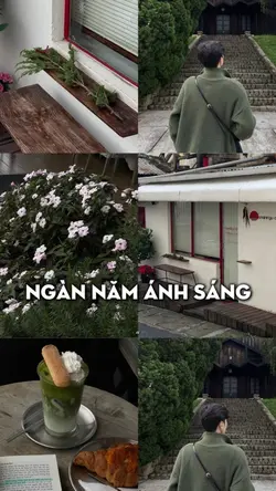 ngàn năm ánh sáng 