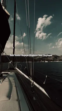 DOST VARDIR