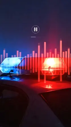 Sound of Da police