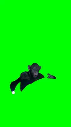 Oh No