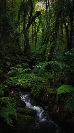 nature