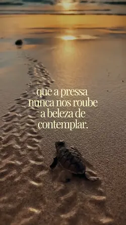 Vídeo com frases 🩶✅