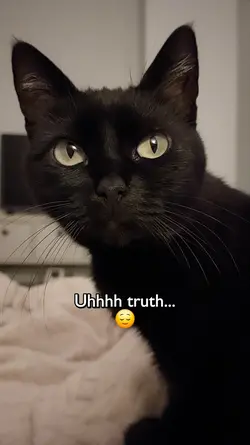 Truth or dare?