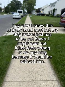 im gonna miss him sm