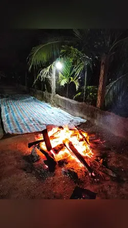 Năm mới bình an
