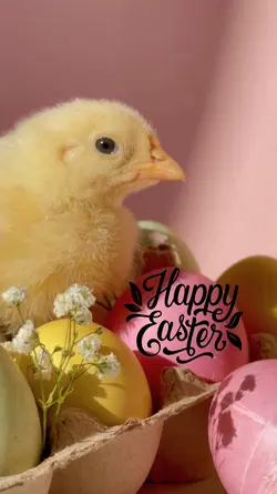 Happy Easter