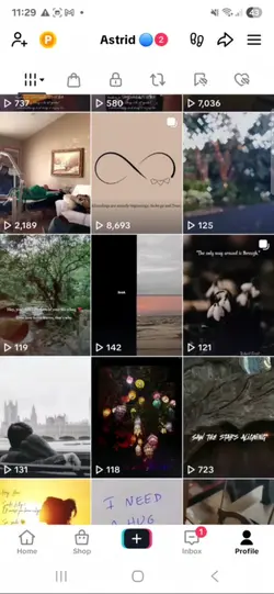 Tiktok Creator Adv