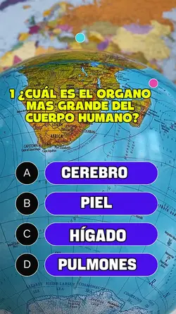 quiz