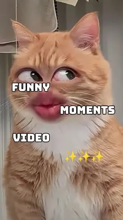 FUNNY MOMENTS VIDEO