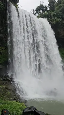 Nature beauty