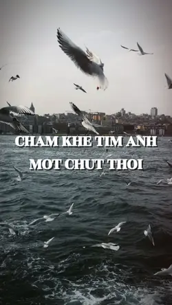 Mẫu nhiều ảnh