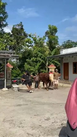 satu klip video