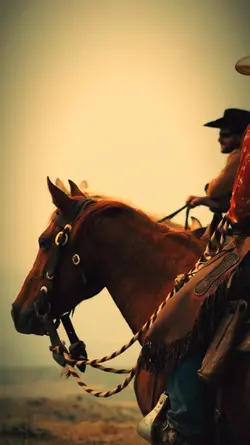 Cowboy