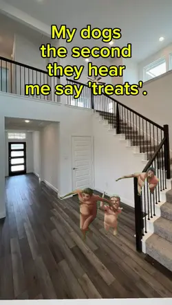attack on titan