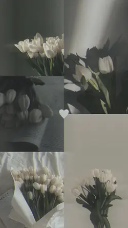 5 photos