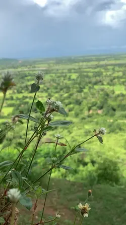 🏞️❤️