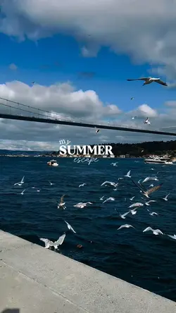 my summer escape