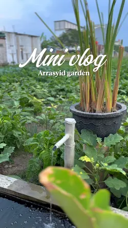 Mini vlog garden