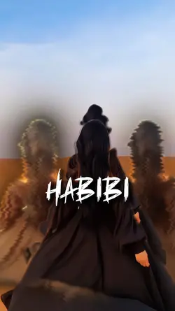 SLOWMO HABIBI
