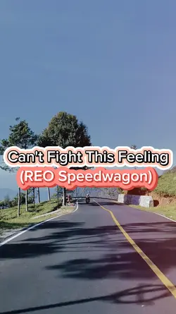 Can't Fight T F